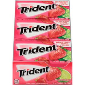 Trident Island Berry Lime Gum 12ct